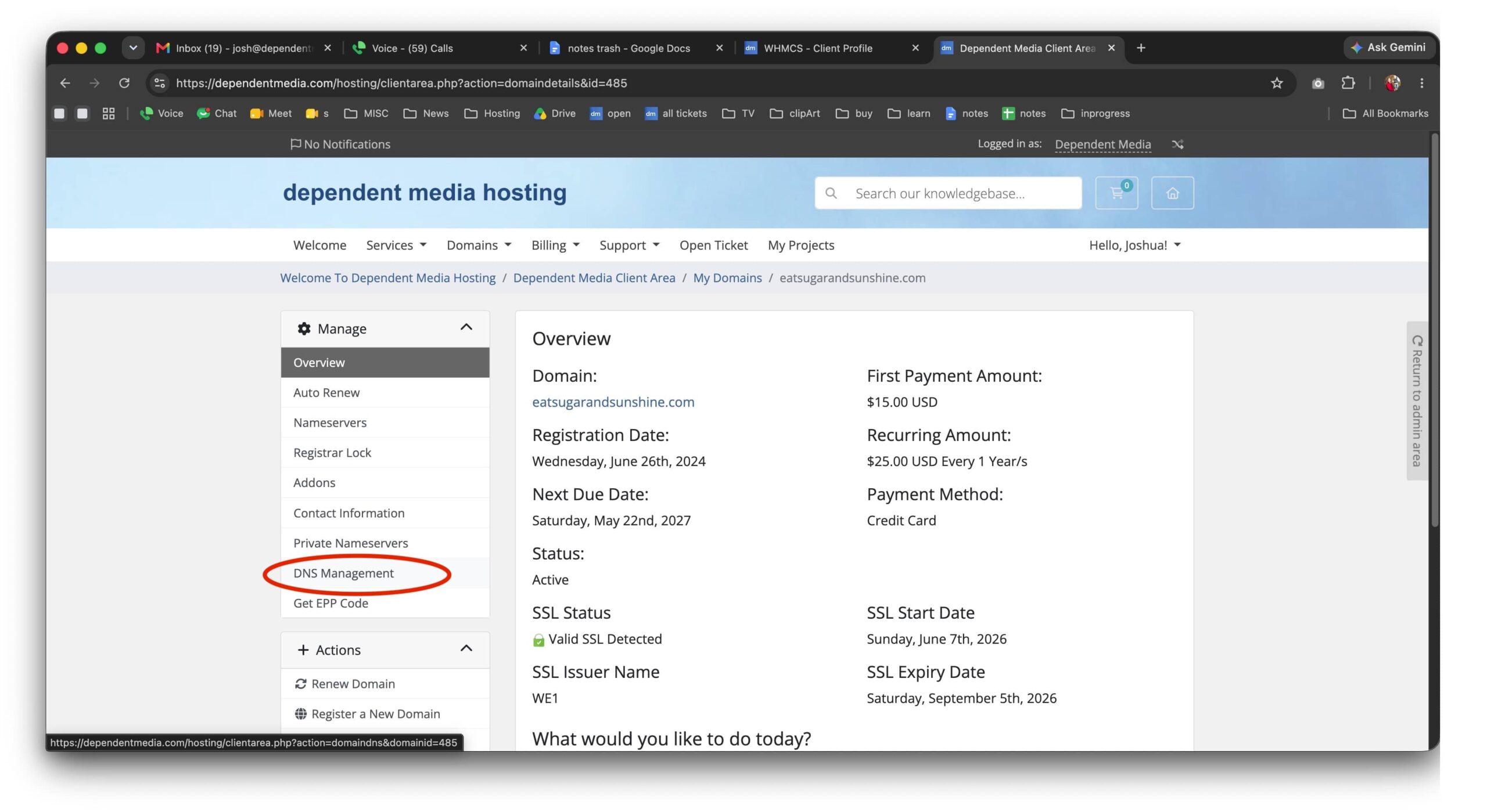 Domain overview with DNS Management highlighted in the Manage menu