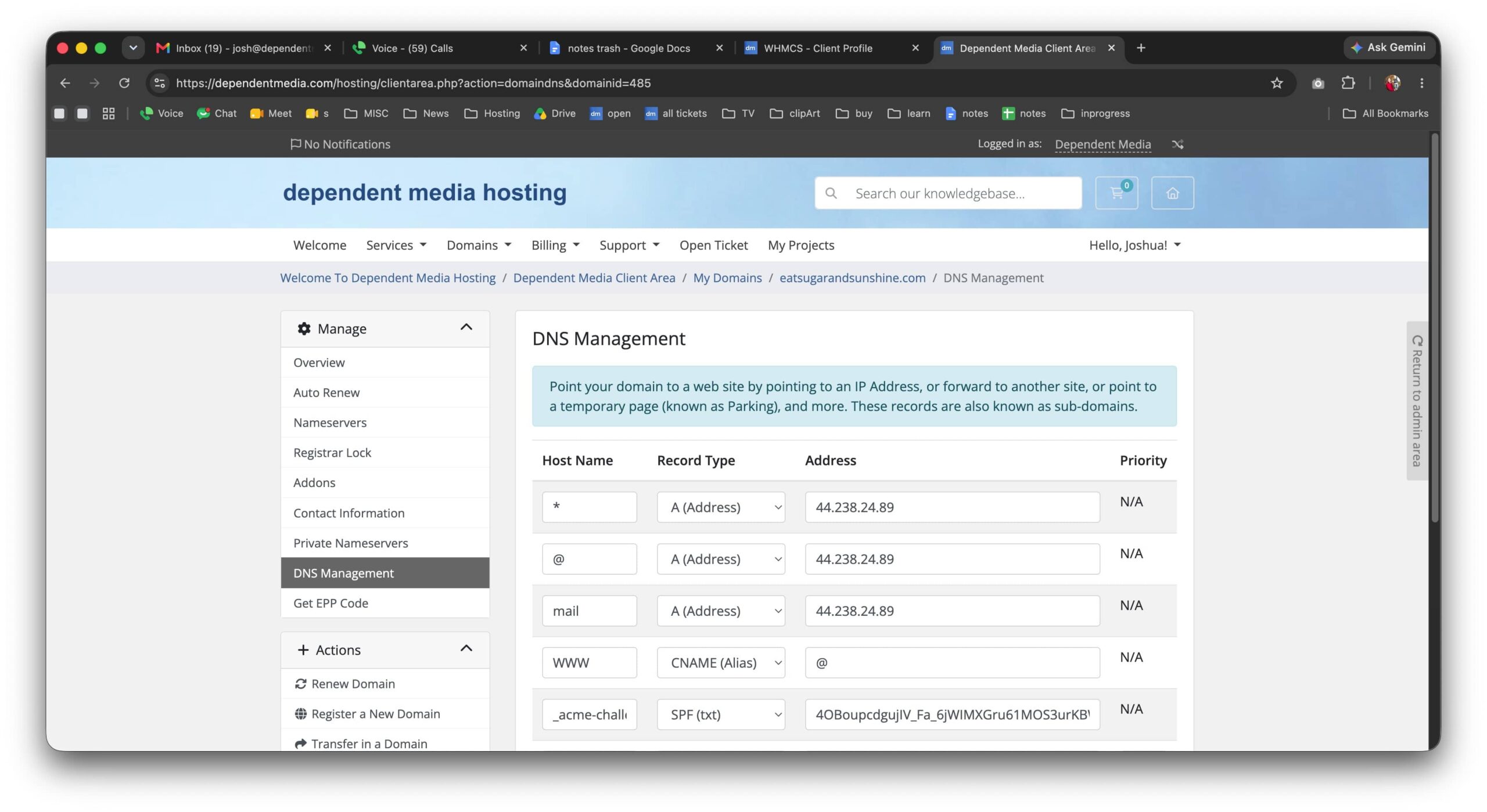 DNS Management screen showing editable records